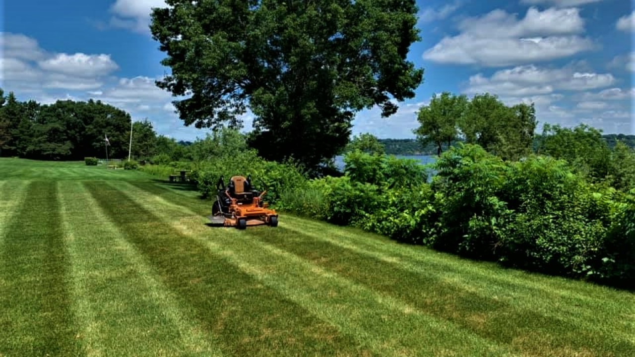 affordable lawn care