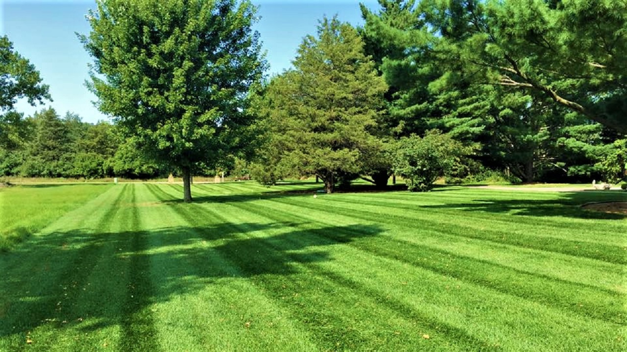 lawn mowing